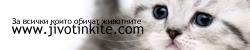 jivotinkite.com